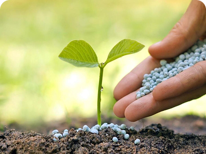 Lorem ipsum dolor sit amet