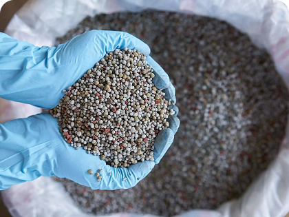 Lorem ipsum dolor sit amуе