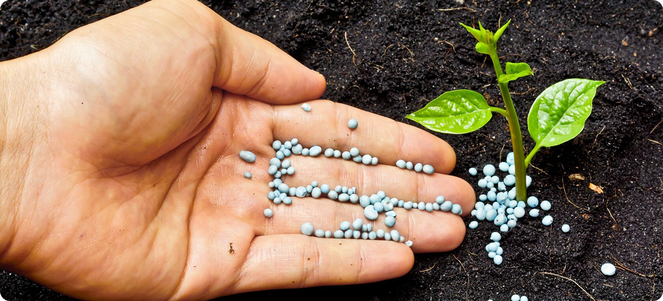 Ut enim ad minim veniam